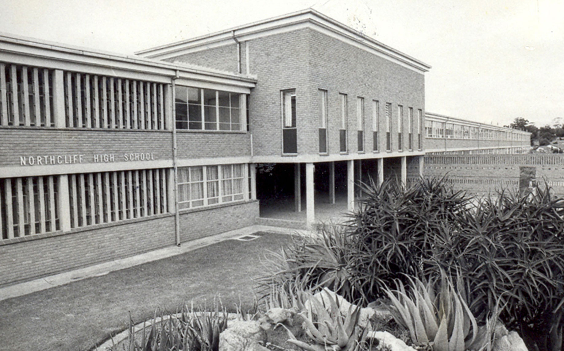 Northcliff High School was established in 1969 at the foot of the hill in the leafy suburb of Northcliff.